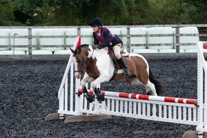 Class 5 - Fences not above 2'6